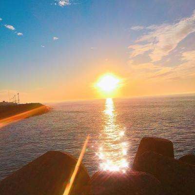 ku体育app官网版下载