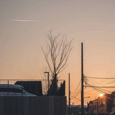 半岛官方下载地址