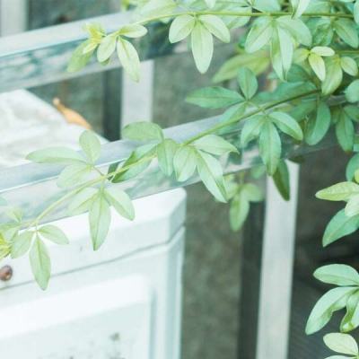 乐鱼官网下载手机版